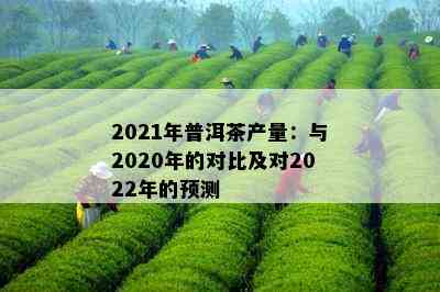 2021年普洱茶产量：与2020年的对比及对2022年的预测