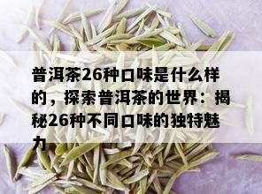 普洱茶26种口味是什么样的，探索普洱茶的世界：揭秘26种不同口味的独特魅力