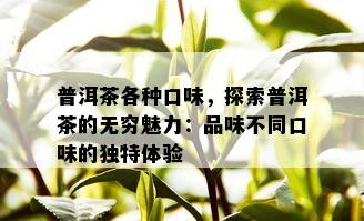 普洱茶各种口味，探索普洱茶的无穷魅力：品味不同口味的独特体验