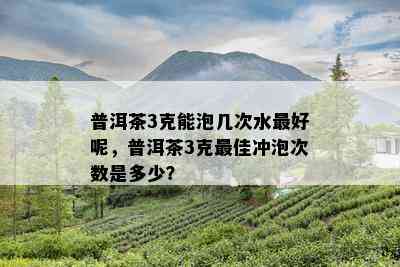 普洱茶3克能泡几次水更好呢，普洱茶3克更佳冲泡次数是多少？