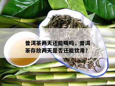 普洱茶两天还能喝吗，普洱茶存放两天是否还能饮用？