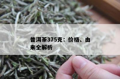 普洱茶375克：价格、由来全解析