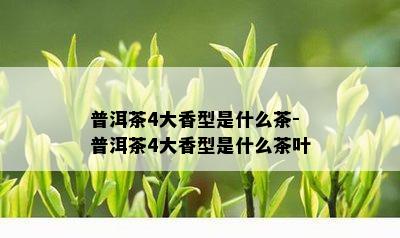 普洱茶4大香型是什么茶-普洱茶4大香型是什么茶叶