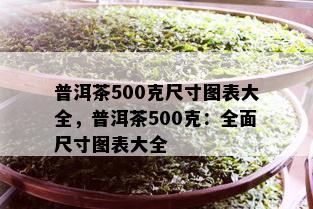 普洱茶500克尺寸图表大全，普洱茶500克：全面尺寸图表大全