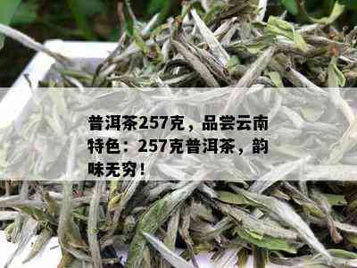 普洱茶257克，品尝云南特色：257克普洱茶，韵味无穷！