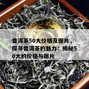 普洱茶50大价格及图片，探寻普洱茶的魅力：揭秘50大的价格与图片