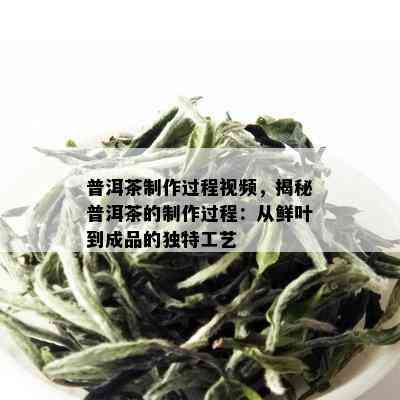 普洱茶制作过程视频，揭秘普洱茶的制作过程：从鲜叶到成品的独特工艺