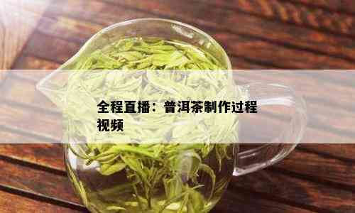 全程直播：普洱茶制作过程视频