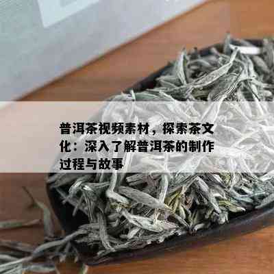 普洱茶视频素材，探索茶文化：深入了解普洱茶的制作过程与故事