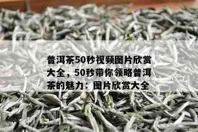 普洱茶50秒视频图片欣赏大全，50秒带你领略普洱茶的魅力：图片欣赏大全