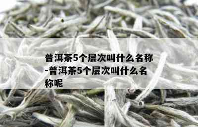 普洱茶5个层次叫什么名称-普洱茶5个层次叫什么名称呢