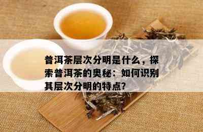 普洱茶层次分明是什么，探索普洱茶的奥秘：如何识别其层次分明的特点？