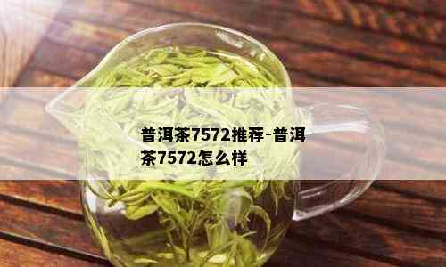 普洱茶7572推荐-普洱茶7572怎么样