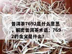 普洱茶7692是什么意思，解密普洱茶术语：7692的含义是什么？