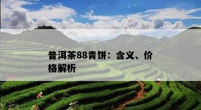 普洱茶88青饼：含义、价格解析