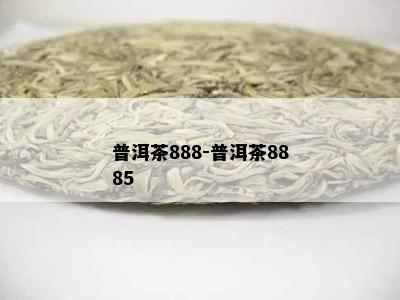 普洱茶888-普洱茶8885