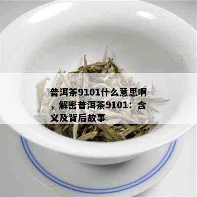 普洱茶9101什么意思啊，解密普洱茶9101：含义及背后故事