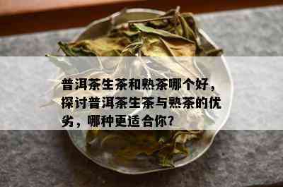 普洱茶生茶和熟茶哪个好，探讨普洱茶生茶与熟茶的优劣，哪种更适合你？