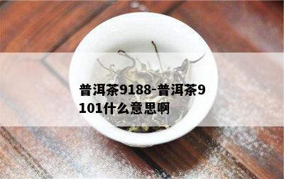 普洱茶9188-普洱茶9101什么意思啊