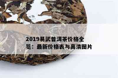 2019易武普洱茶价格全览：最新价格表与高清图片