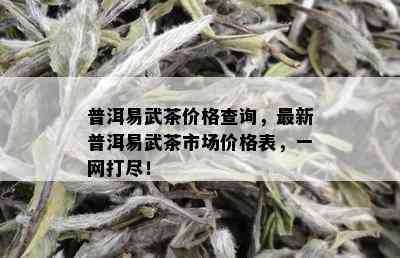 普洱易武茶价格查询，最新普洱易武茶市场价格表，一网打尽！