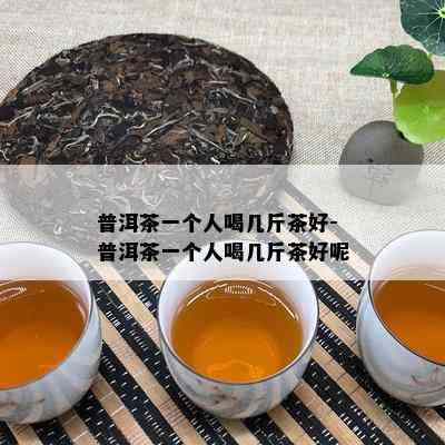 普洱茶一个人喝几斤茶好-普洱茶一个人喝几斤茶好呢