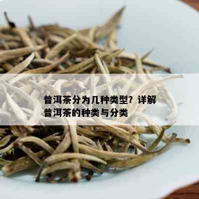 普洱茶分为几种类型？详解普洱茶的种类与分类