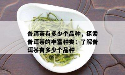 普洱茶有多少个品种，探索普洱茶的丰富种类：了解普洱茶有多少个品种