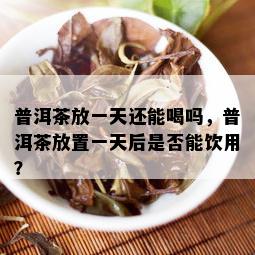 普洱茶放一天还能喝吗，普洱茶放置一天后是否能饮用？