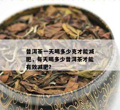 普洱茶一天喝多少克才能减肥，每天喝多少普洱茶才能有效减肥？