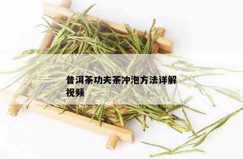 普洱茶功夫茶冲泡方法详解视频