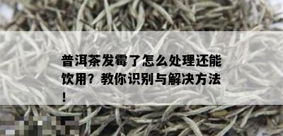 普洱茶发霉了怎么处理还能饮用？教你识别与解决方法！