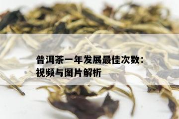 普洱茶一年发展更佳次数：视频与图片解析