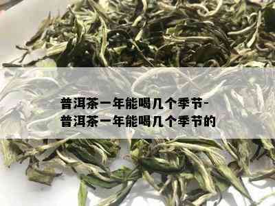 普洱茶一年能喝几个季节-普洱茶一年能喝几个季节的