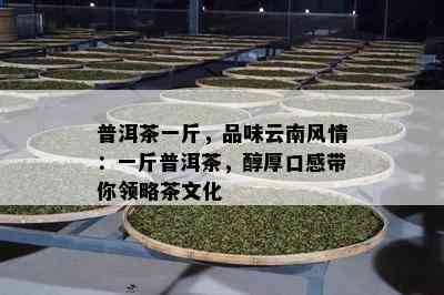 普洱茶一斤，品味云南风情：一斤普洱茶，醇厚口感带你领略茶文化