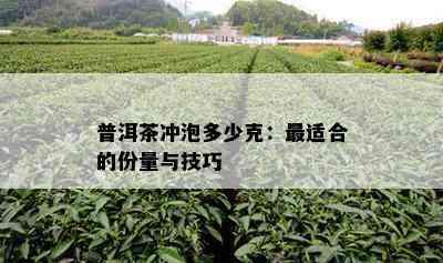 普洱茶冲泡多少克：最适合的份量与技巧