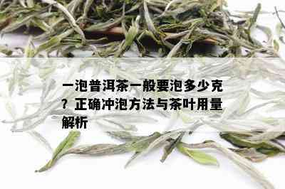 一泡普洱茶一般要泡多少克？正确冲泡方法与茶叶用量解析