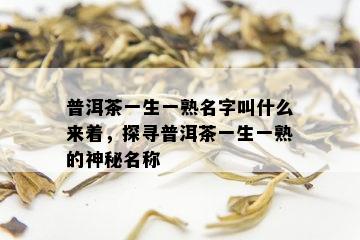 普洱茶一生一熟名字叫什么来着，探寻普洱茶一生一熟的神秘名称