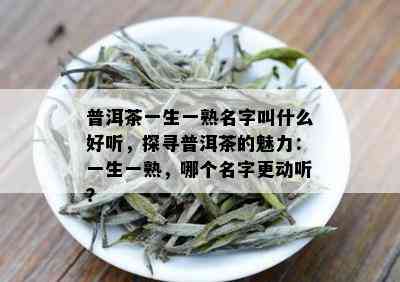 普洱茶一生一熟名字叫什么好听，探寻普洱茶的魅力：一生一熟，哪个名字更动听？