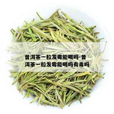 普洱茶一粒发霉能喝吗-普洱茶一粒发霉能喝吗有吗