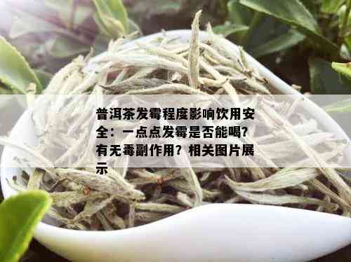 普洱茶发霉程度影响饮用安全：一点点发霉是否能喝？有无副作用？相关图片展示