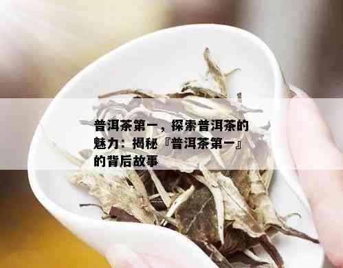 普洱茶之一，探索普洱茶的魅力：揭秘『普洱茶之一』的背后故事