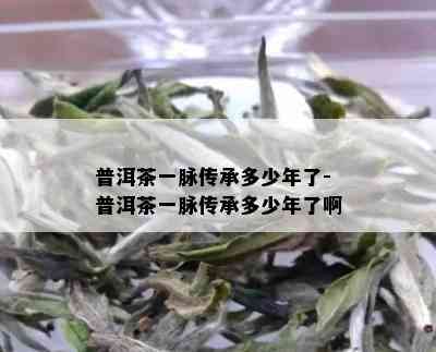 普洱茶一脉传承多少年了-普洱茶一脉传承多少年了啊