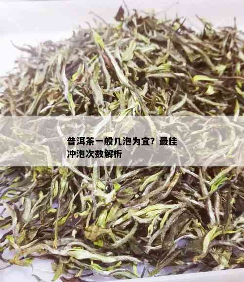 普洱茶一般几泡为宜？更佳冲泡次数解析