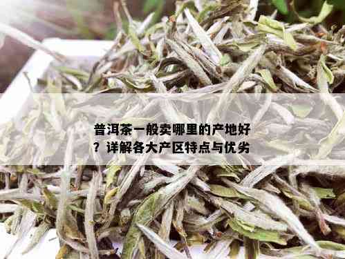 普洱茶一般卖哪里的产地好？详解各大产区特点与优劣