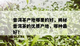 普洱茶产地哪里的好，揭秘普洱茶的优质产地，哪种更好？