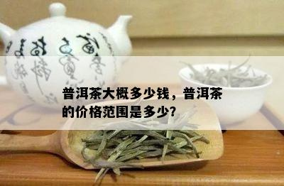 普洱茶大概多少钱，普洱茶的价格范围是多少？