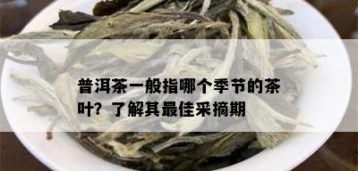 普洱茶一般指哪个季节的茶叶？了解其更佳采摘期