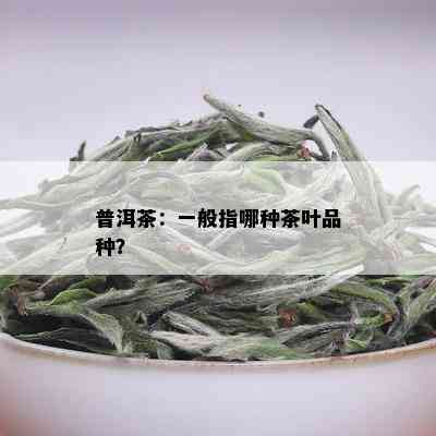 普洱茶：一般指哪种茶叶品种？