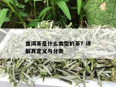 普洱茶是什么类型的茶？详解其定义与分类